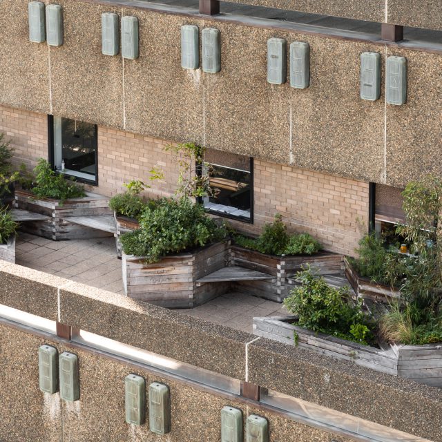 Build Your Own Garden