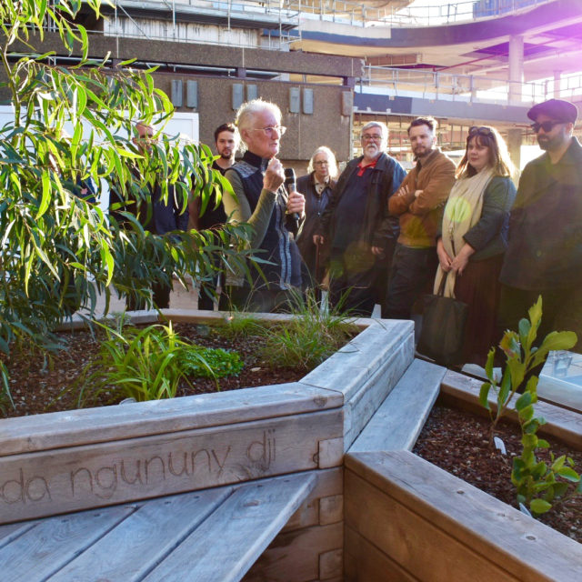 Aunty Fran Bodkin on combination planting